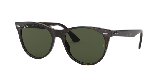 Ray-Ban Wayfarer Ii Sunglasses RB2185 902/31