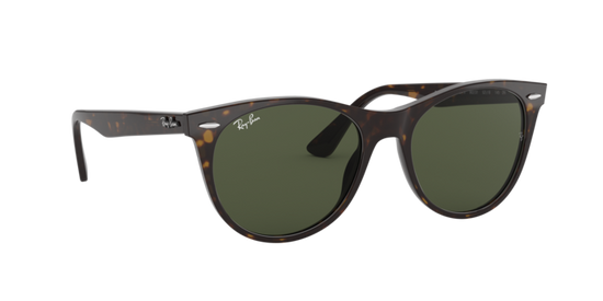 Ray-Ban Wayfarer Ii Sunglasses RB2185 902/31