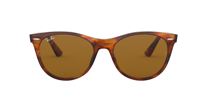 Ray-Ban Wayfarer Ii Sunglasses RB2185 954/33
