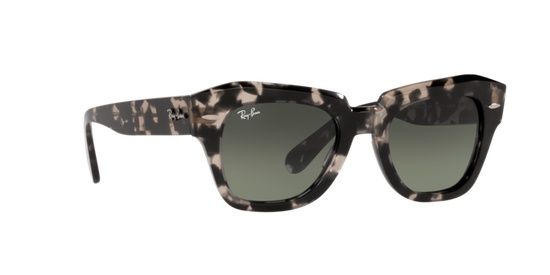 Ray-Ban State Street Sunglasses RB2186 133371