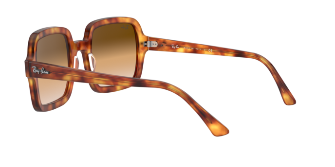 Ray-Ban Sunglasses RB2188 130051