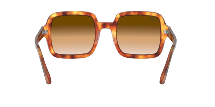 Ray-Ban Sunglasses RB2188 130051