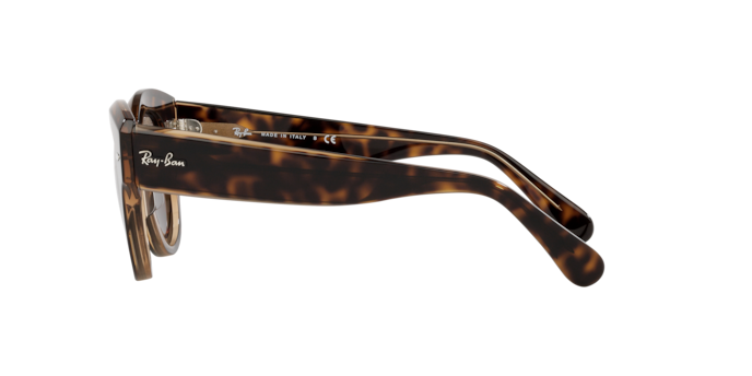 Ray-Ban Roundabout Sunglasses RB2192 954/57