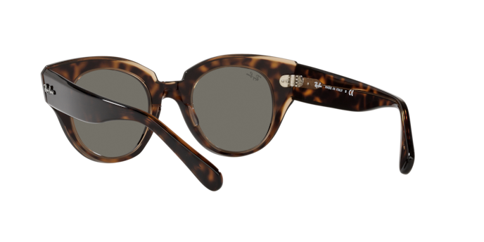 Ray-Ban Roundabout Sunglasses RB2192 954/57