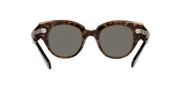 Ray-Ban Roundabout Sunglasses RB2192 954/57