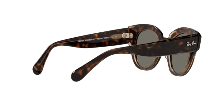 Ray-Ban Roundabout Sunglasses RB2192 954/57