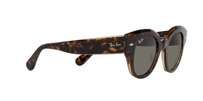 Ray-Ban Roundabout Sunglasses RB2192 954/57