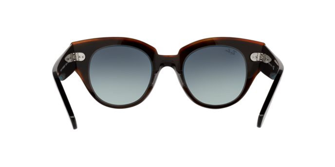 Ray-Ban Roundabout Sunglasses RB2192 132241