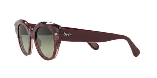 Ray-Ban Roundabout Sunglasses RB2192 1323BH