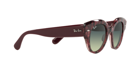 Ray-Ban Roundabout Sunglasses RB2192 1323BH