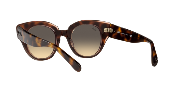 Ray-Ban Roundabout Sunglasses RB2192 1324BG