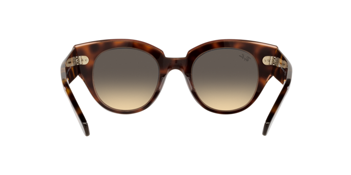 Ray-Ban Roundabout Sunglasses RB2192 1324BG