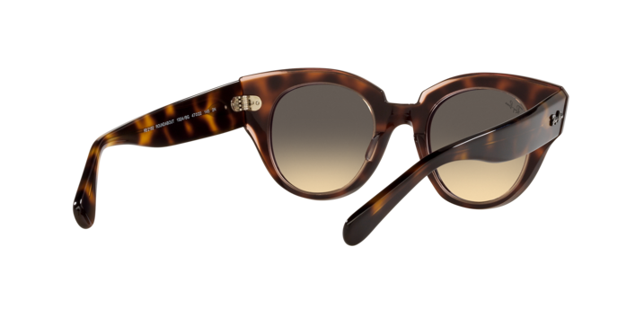 Ray-Ban Roundabout Sunglasses RB2192 1324BG