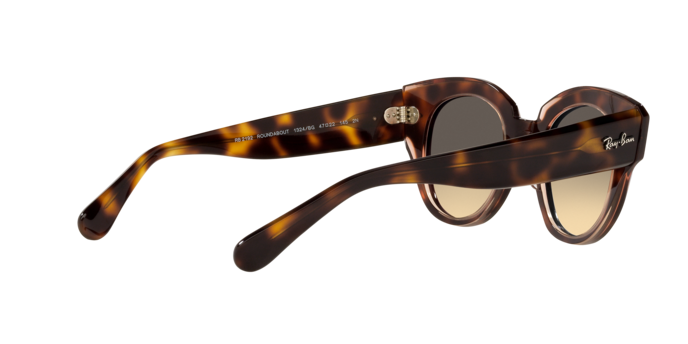 Ray-Ban Roundabout Sunglasses RB2192 1324BG