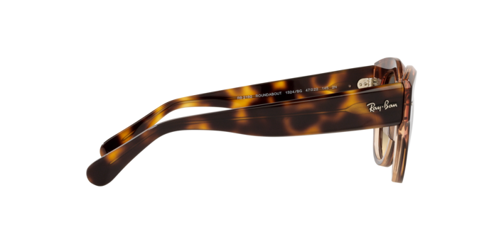 Ray-Ban Roundabout Sunglasses RB2192 1324BG