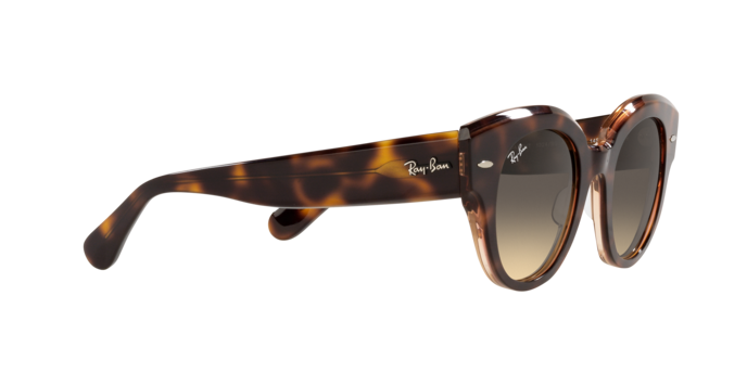 Ray-Ban Roundabout Sunglasses RB2192 1324BG
