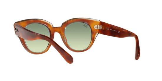 Ray-Ban Roundabout Sunglasses RB2192 1325BH