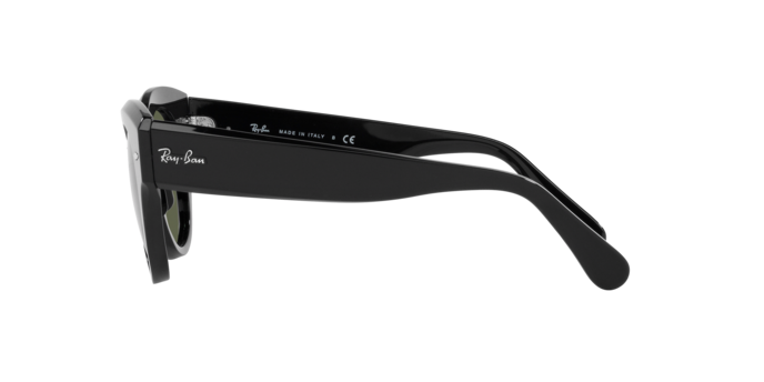 Ray-Ban Roundabout Sunglasses RB2192 901/31