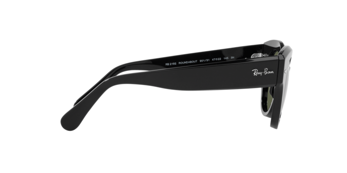 Ray-Ban Roundabout Sunglasses RB2192 901/31