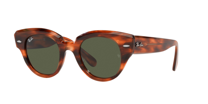 Ray-Ban Roundabout Sunglasses RB2192 954/31