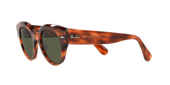 Ray-Ban Roundabout Sunglasses RB2192 954/31