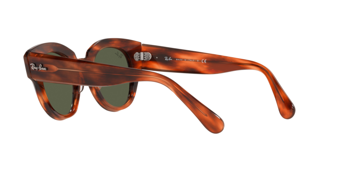 Ray-Ban Roundabout Sunglasses RB2192 954/31