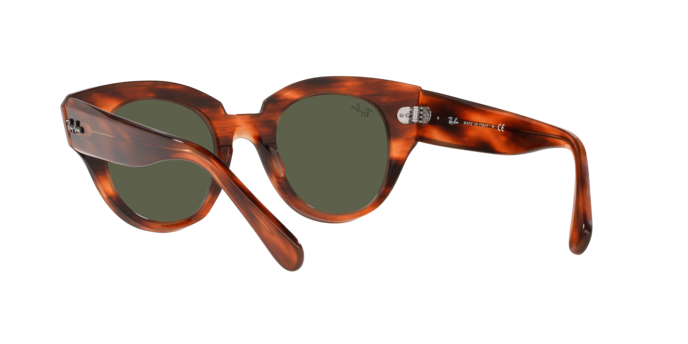 Ray-Ban Roundabout Sunglasses RB2192 954/31