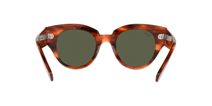 Ray-Ban Roundabout Sunglasses RB2192 954/31