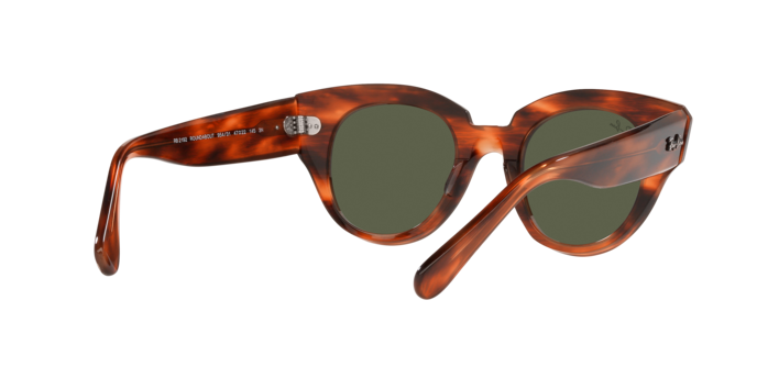 Ray-Ban Roundabout Sunglasses RB2192 954/31