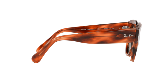 Ray-Ban Roundabout Sunglasses RB2192 954/31