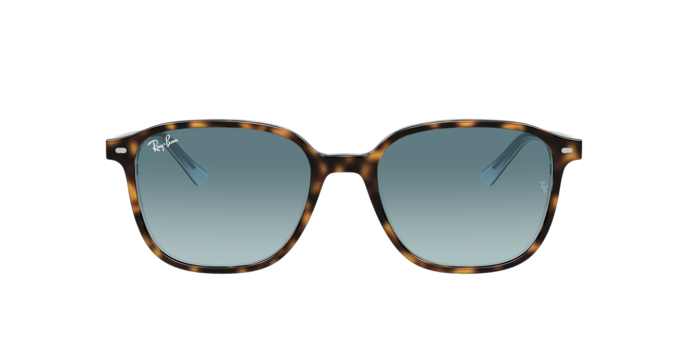 Ray-Ban Leonard Sunglasses RB2193 13163M