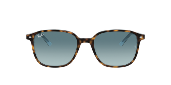 Ray-Ban Leonard Sunglasses RB2193 13163M