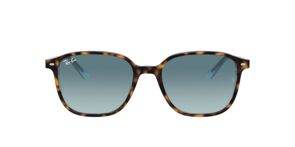 Ray-Ban Leonard RB2193 13163M