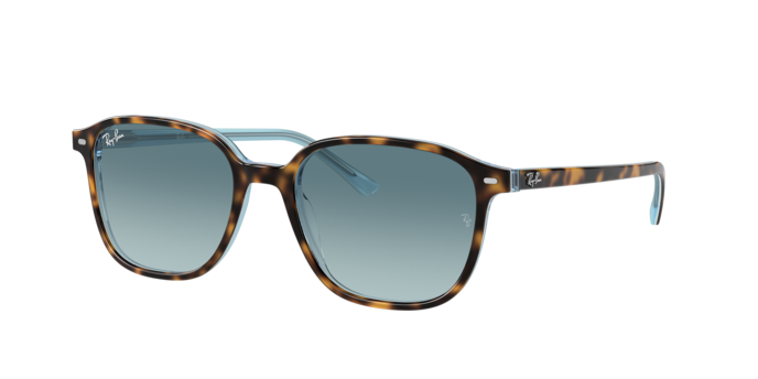 Ray-Ban Leonard Sunglasses RB2193 13163M