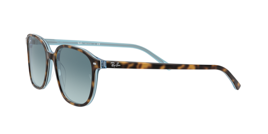 Ray-Ban Leonard Sunglasses RB2193 13163M