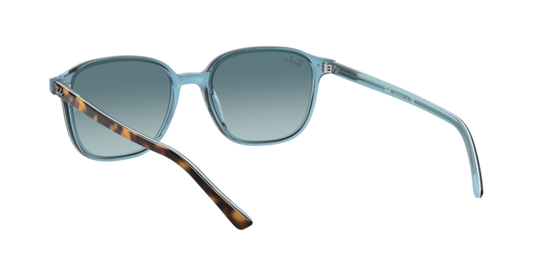 Ray-Ban Leonard Sunglasses RB2193 13163M