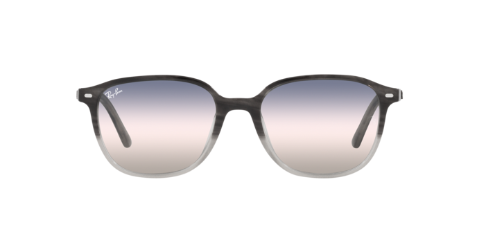 Ray-Ban Leonard Sunglasses RB2193 1326GE