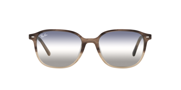 Ray-Ban Leonard Sunglasses RB2193 1327GF
