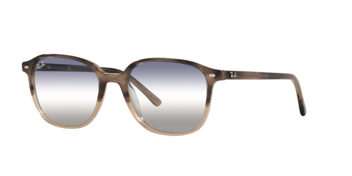 Ray-Ban Leonard Sunglasses RB2193 1327GF