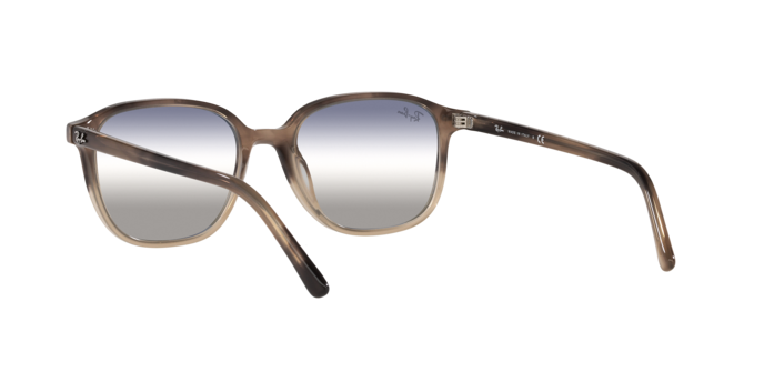 Ray-Ban Leonard Sunglasses RB2193 1327GF
