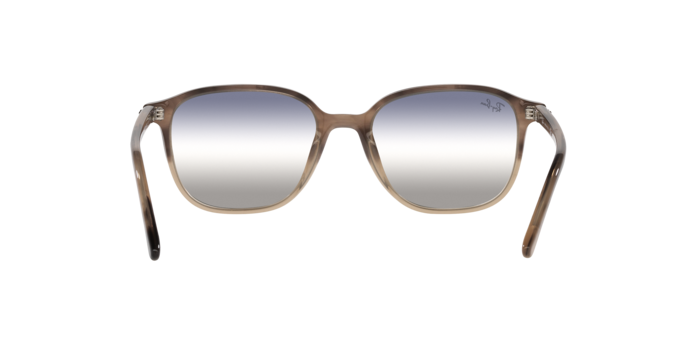 Ray-Ban Leonard Sunglasses RB2193 1327GF