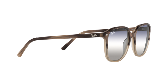 Ray-Ban Leonard Sunglasses RB2193 1327GF