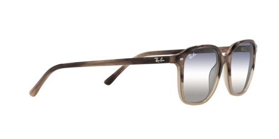 Ray-Ban Leonard Sunglasses RB2193 1327GF