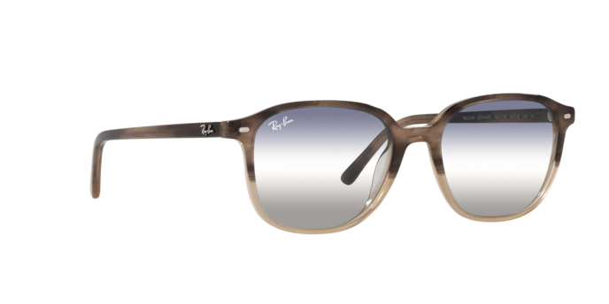 Ray-Ban Leonard Sunglasses RB2193 1327GF