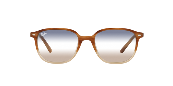 Ray-Ban Leonard Sunglasses RB2193 1328GD