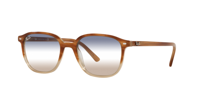 Ray-Ban Leonard Sunglasses RB2193 1328GD