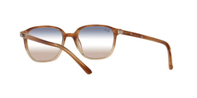 Ray-Ban Leonard Sunglasses RB2193 1328GD