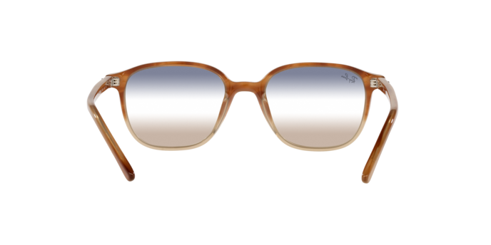 Ray-Ban Leonard Sunglasses RB2193 1328GD