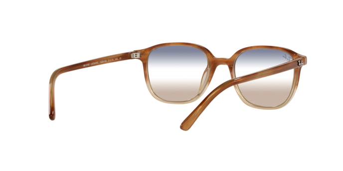 Ray-Ban Leonard Sunglasses RB2193 1328GD