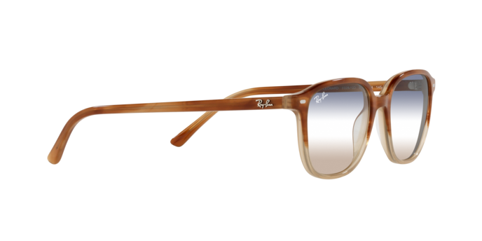 Ray-Ban Leonard Sunglasses RB2193 1328GD